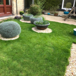 Techniques de taille pour maintenir un jardin esthétique et en bonne santé Saint-Laurent-du-Var